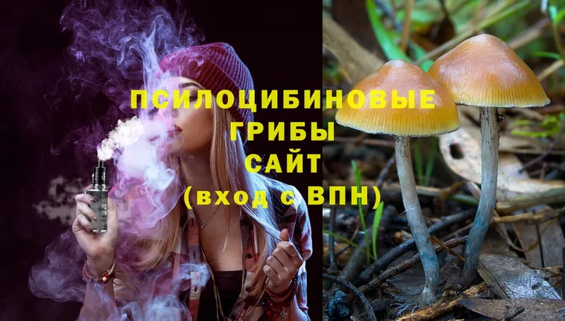 Псилоцибиновые грибы Magic Shrooms  Ермолино 